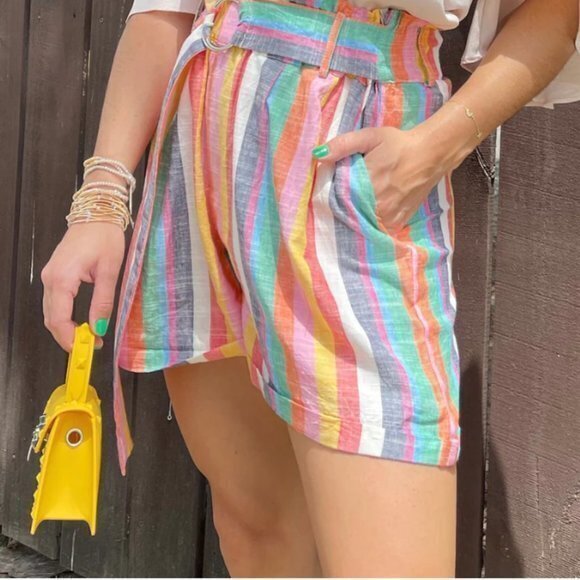 THML Pants - THML Stripe Multi Color Short Paper Bag Waist Shorts Size L